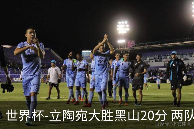 世界杯-立陶宛大胜黑山20分 两队携手晋级16强